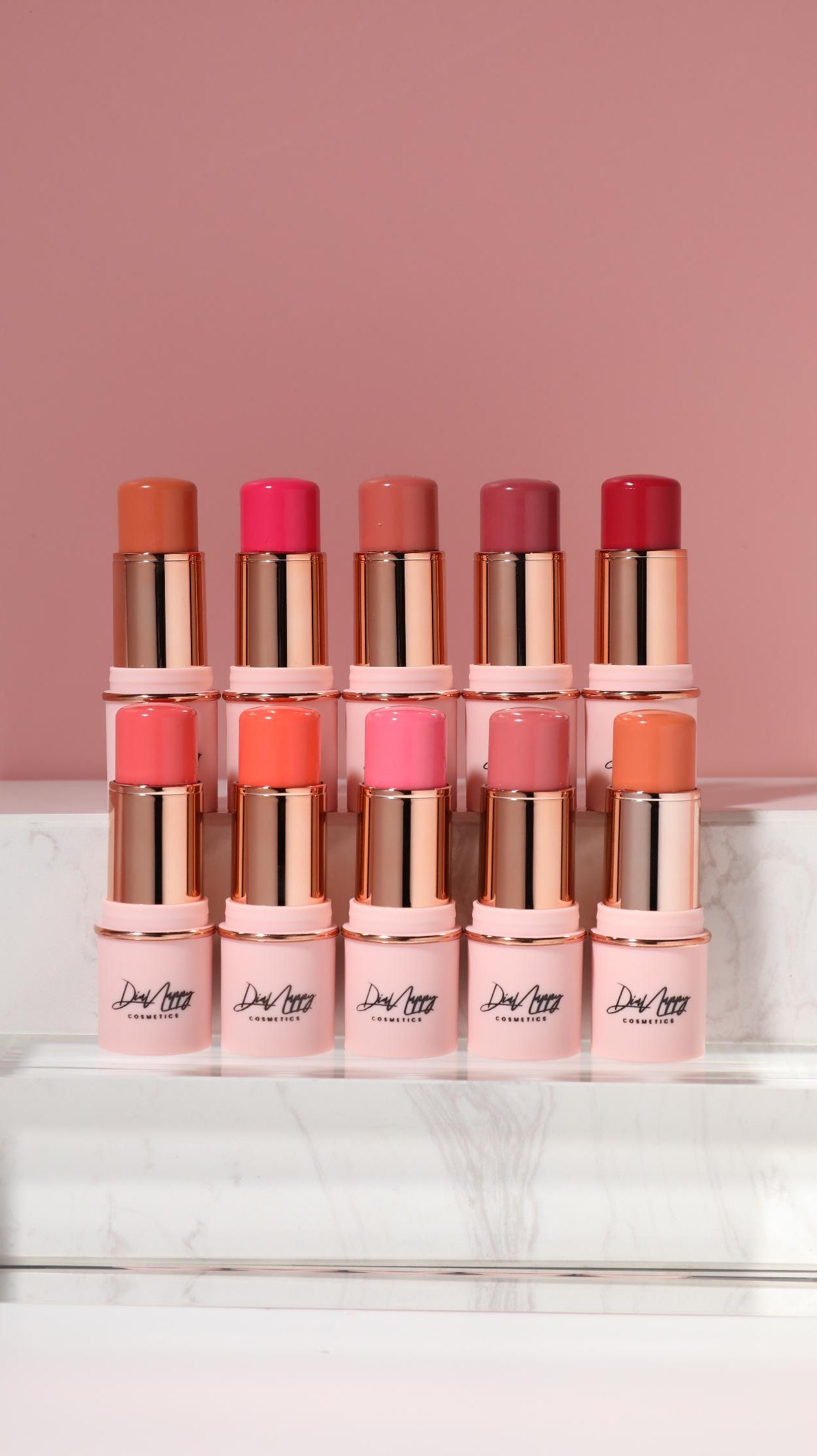 Le Blush en Stick